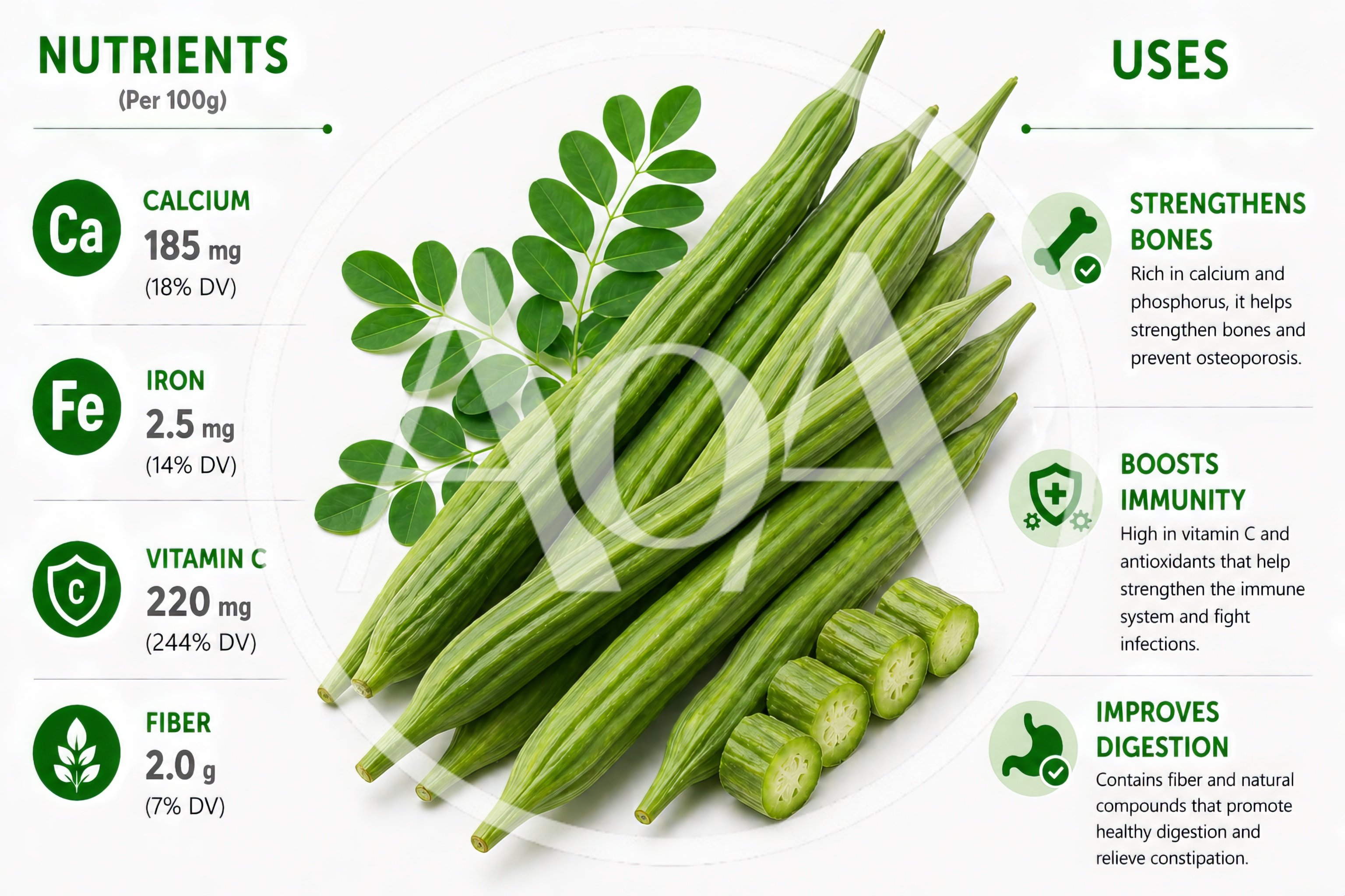 Moringa Oleifera Drumstick Nutritional Infographic