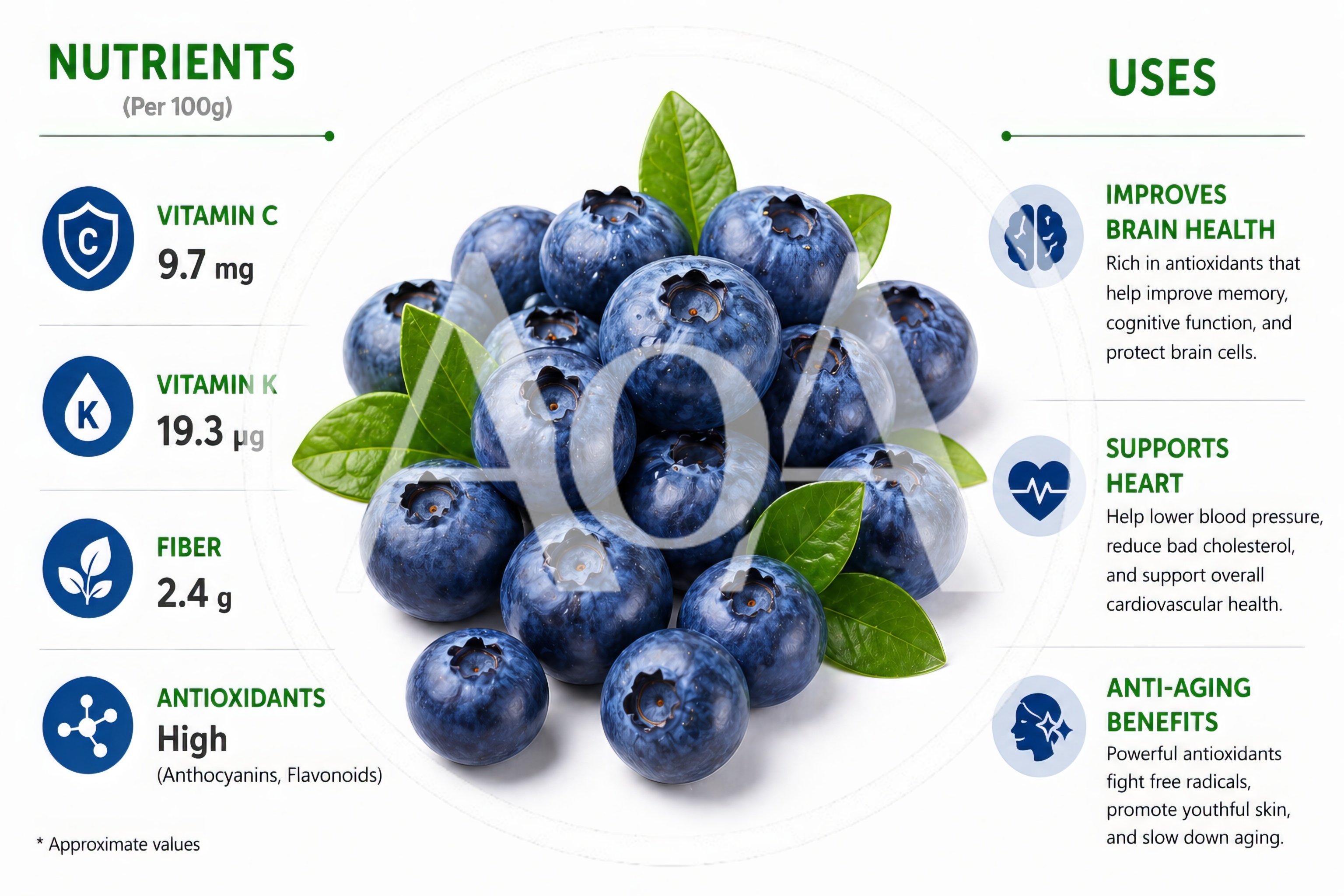 Blueberry Nutritional Benefits Infographic With Fresh Berries