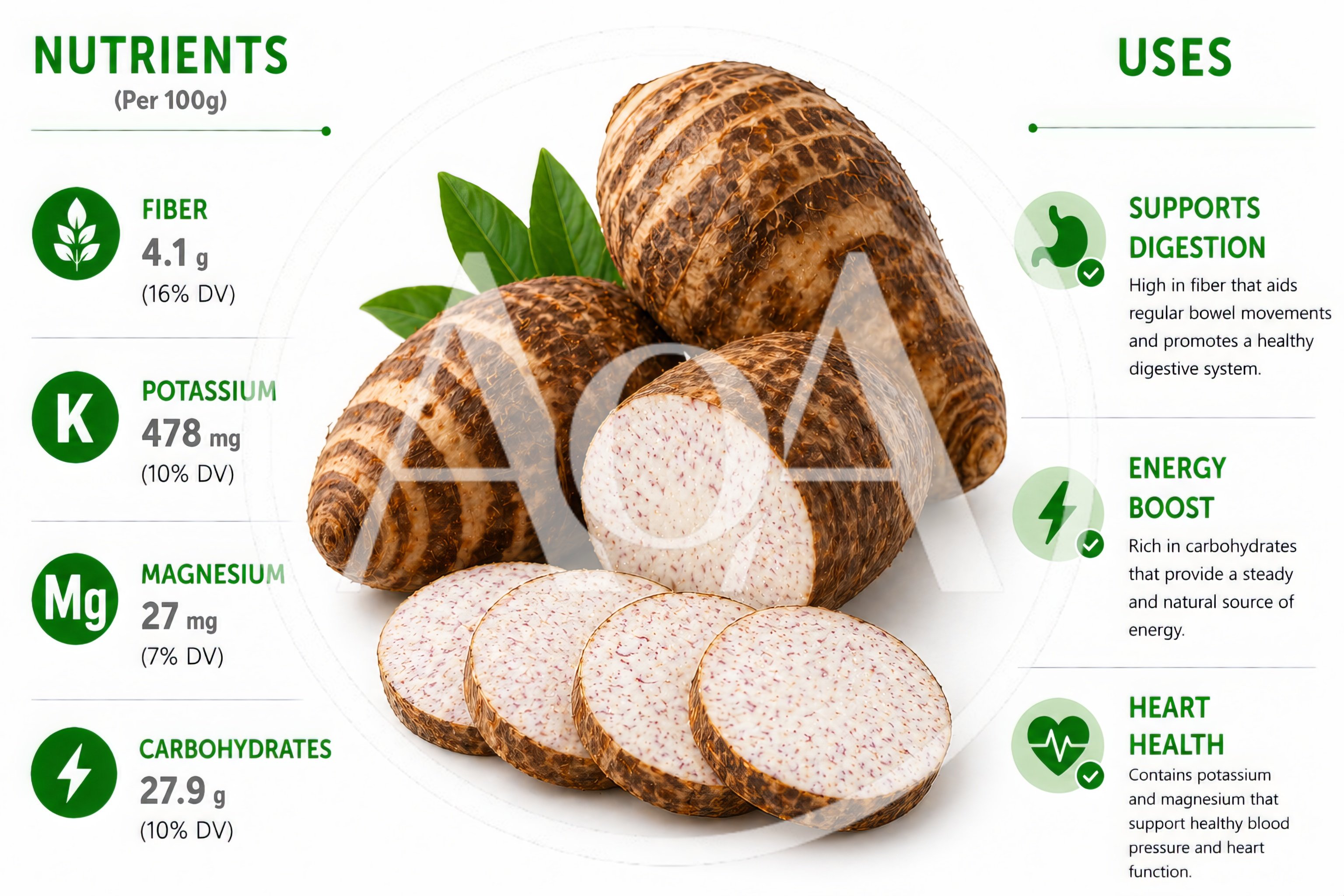 Taro Root Nutritional Infographic With Sliced Tubers