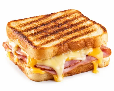 Grilled Ham and Cheese Sandwich on White Background