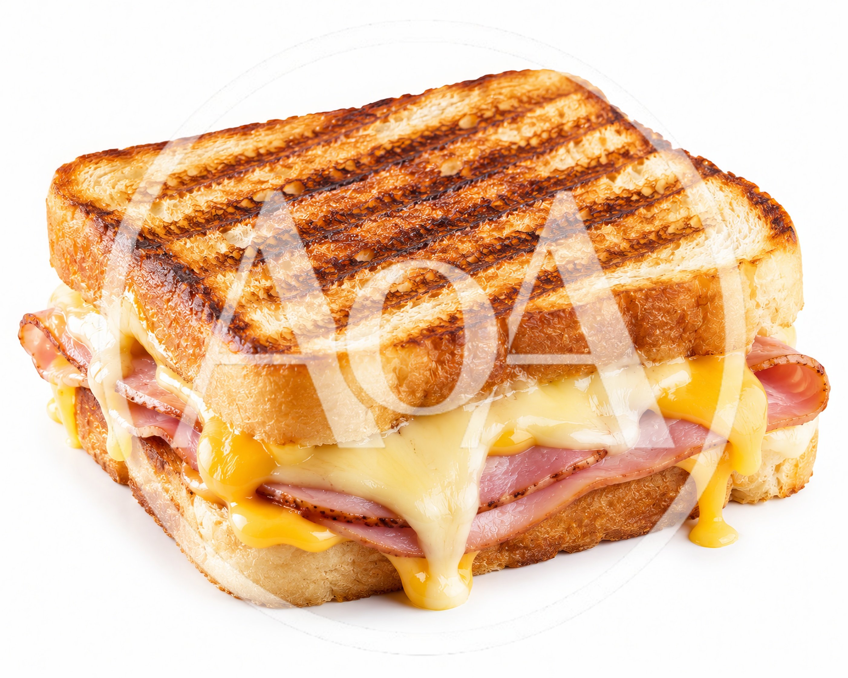 Grilled Ham and Cheese Sandwich on White Background