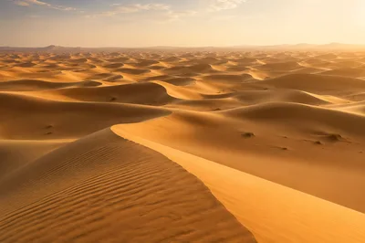 Golden Sand Dunes Under A Warm Sunset Sky