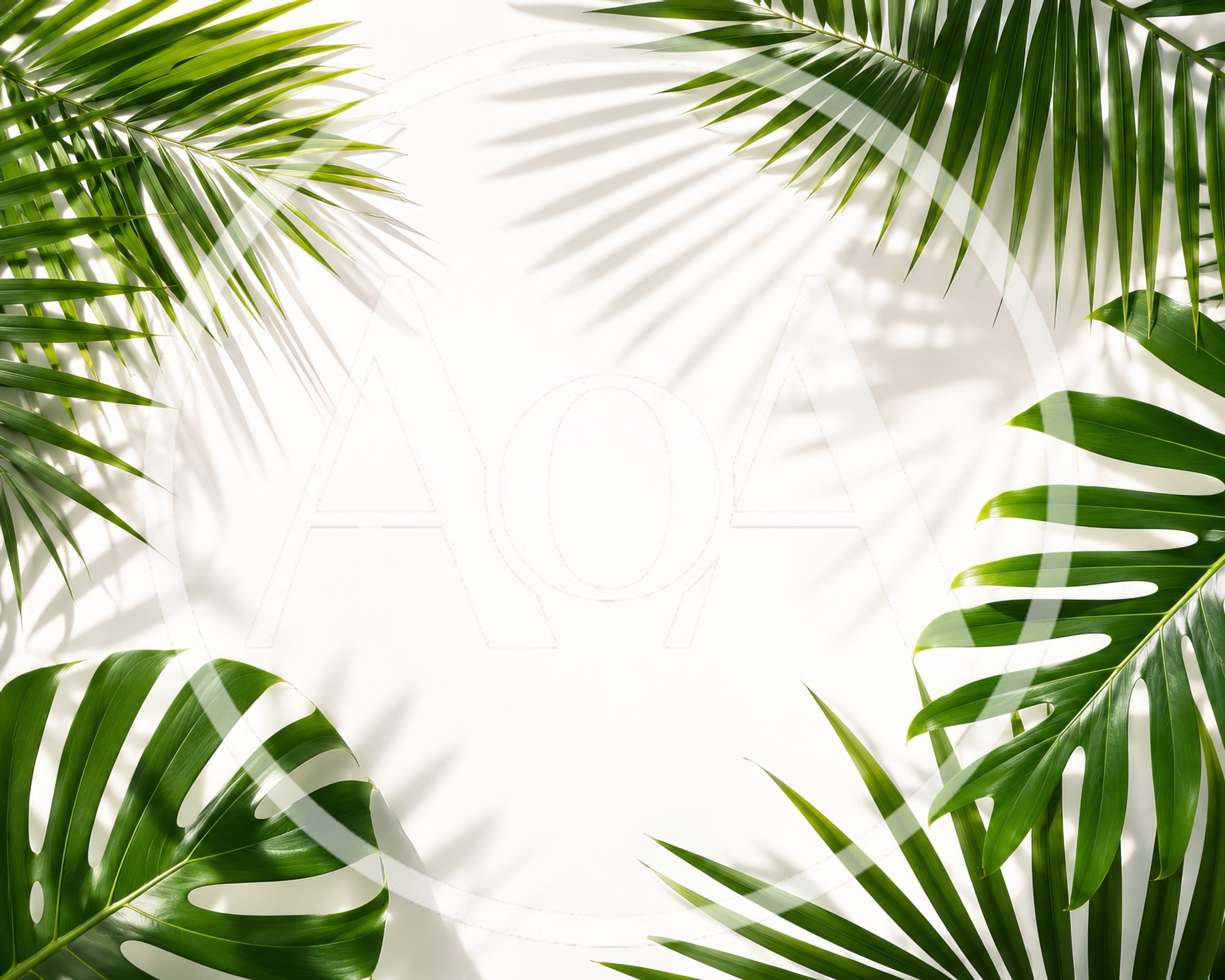 Tropical Palm and Monstera Leaves on White Background