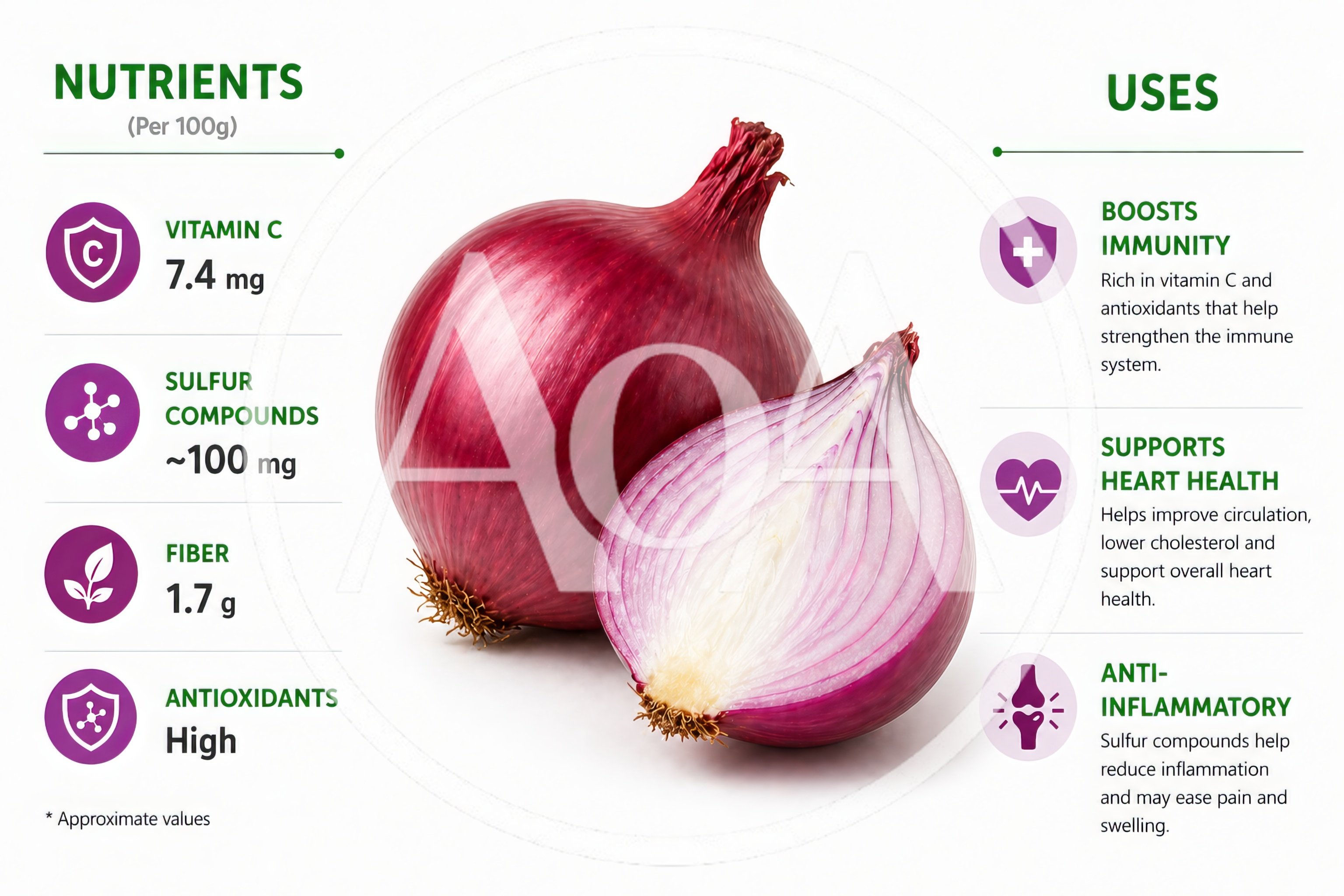 Red Onion Nutritional Benefits And Health Uses Infographic