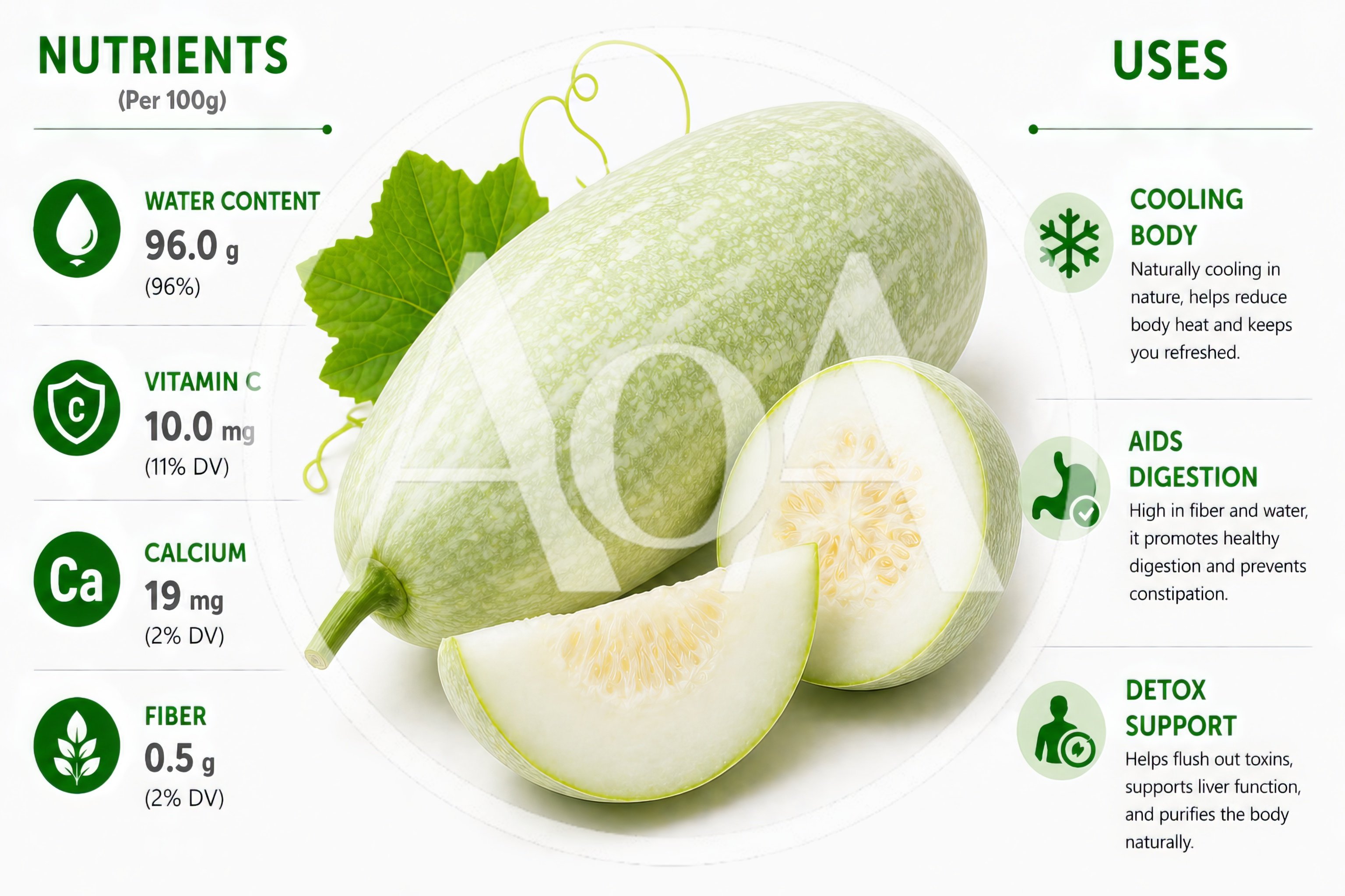 Nutritional Infographic Of Winter Melon With Health Benefits