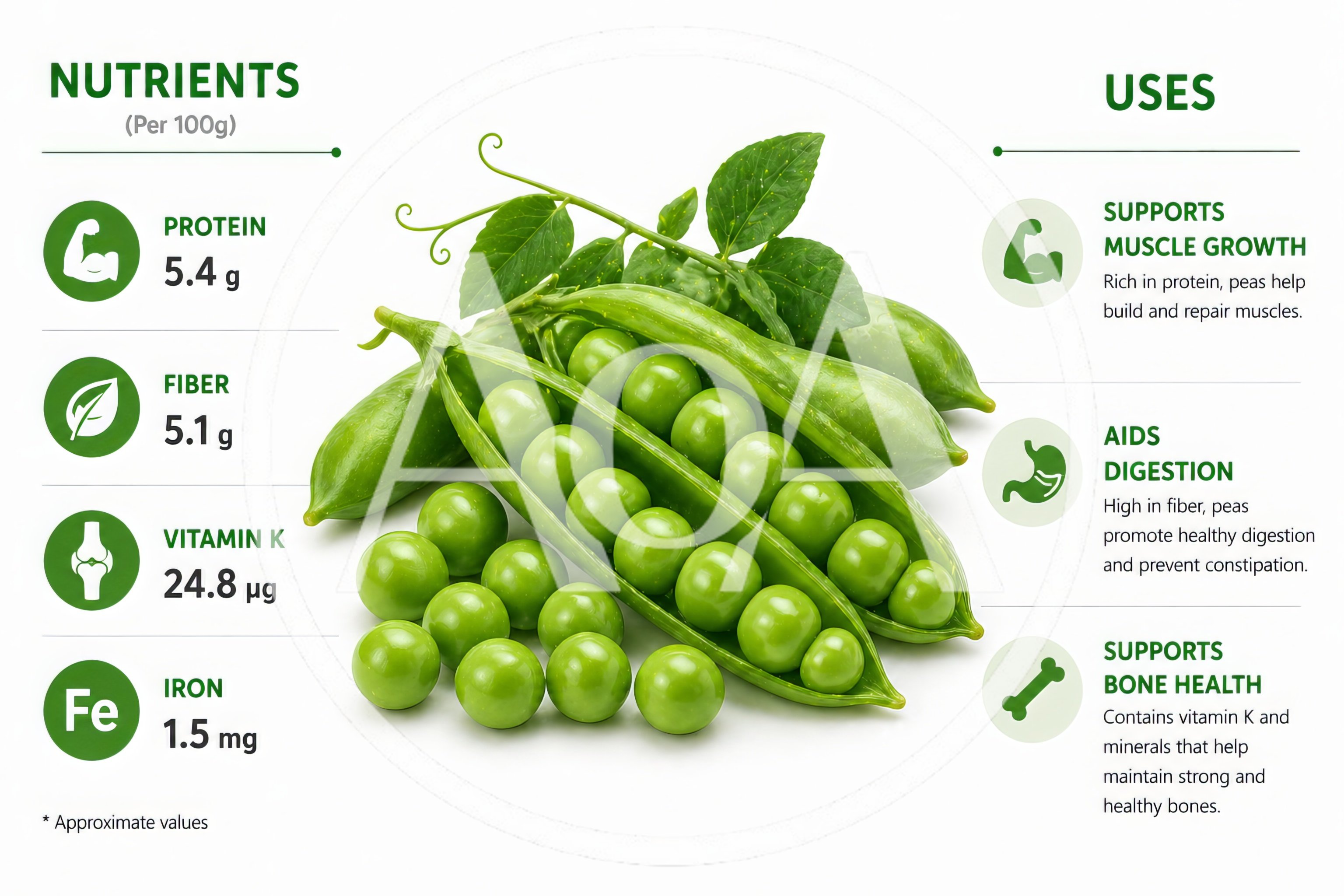 Nutritional Benefits Infographic Of Fresh Green Peas