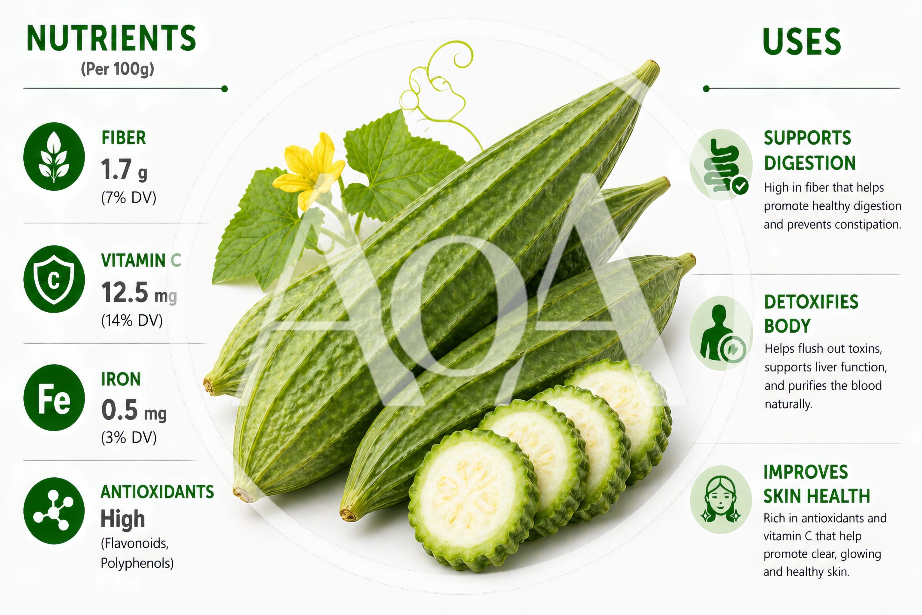 Nutritional Benefits and Uses of Ridge Gourd Infographic