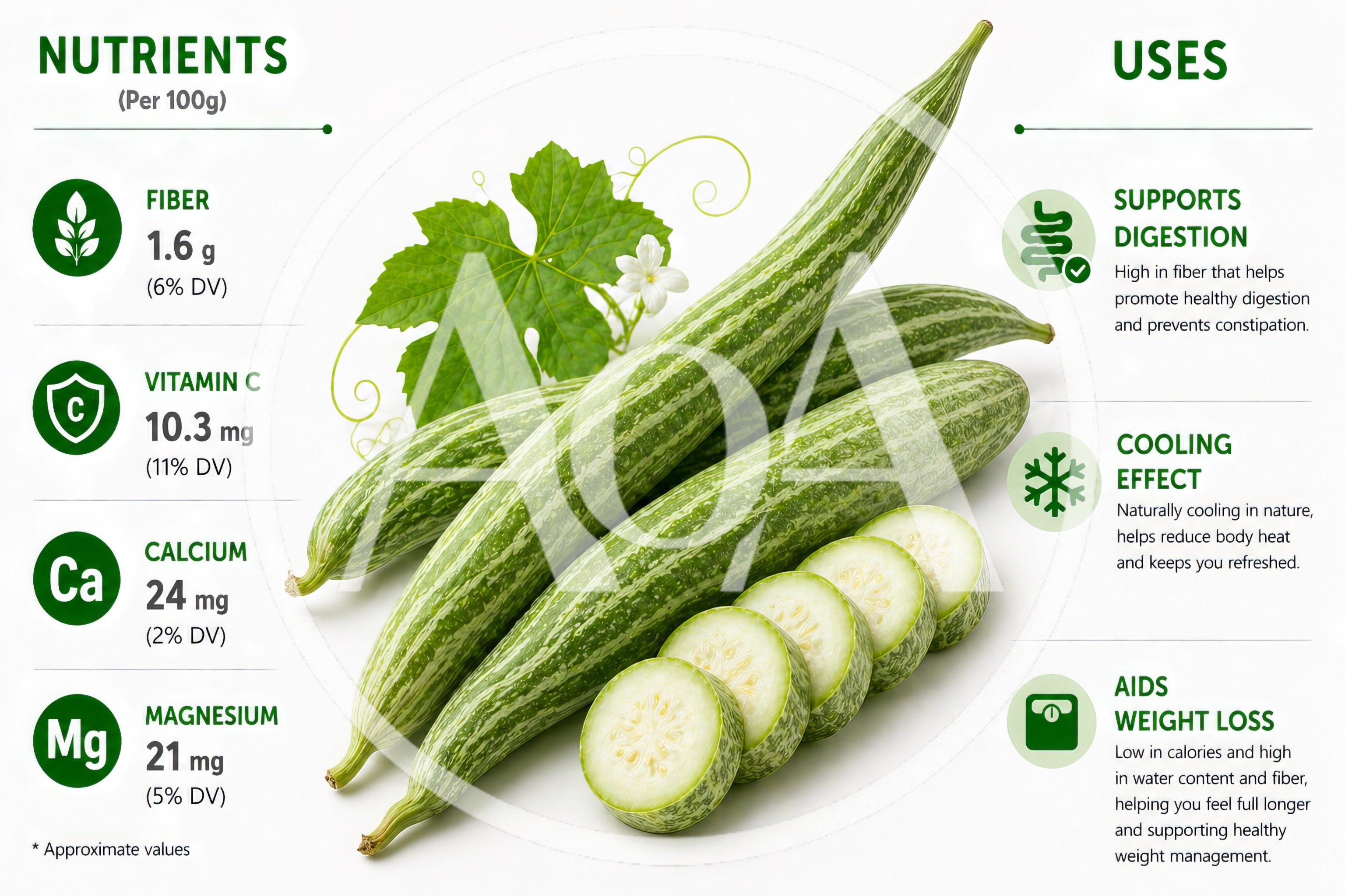 Snake Gourd Nutritional Infographic With Fresh Vegetables