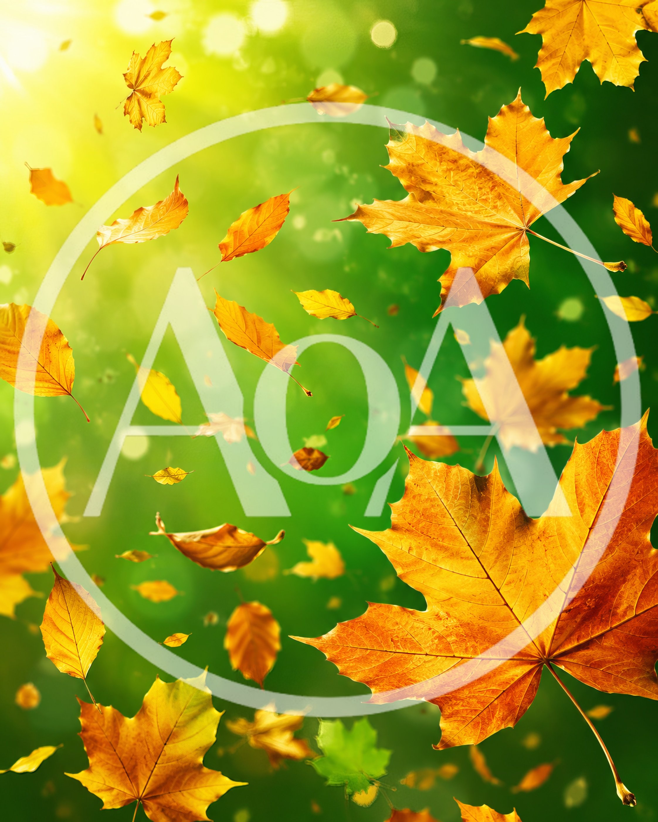 Autumn Maple Leaves Falling Against Green Bokeh Background