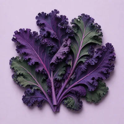 Fresh Purple Kale Leaves on Light Purple Background