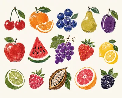 Hand Drawn Fruit Collection Illustration