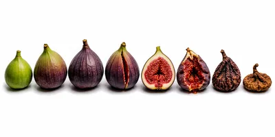 Evolution Of A Fig From Fresh To Dried