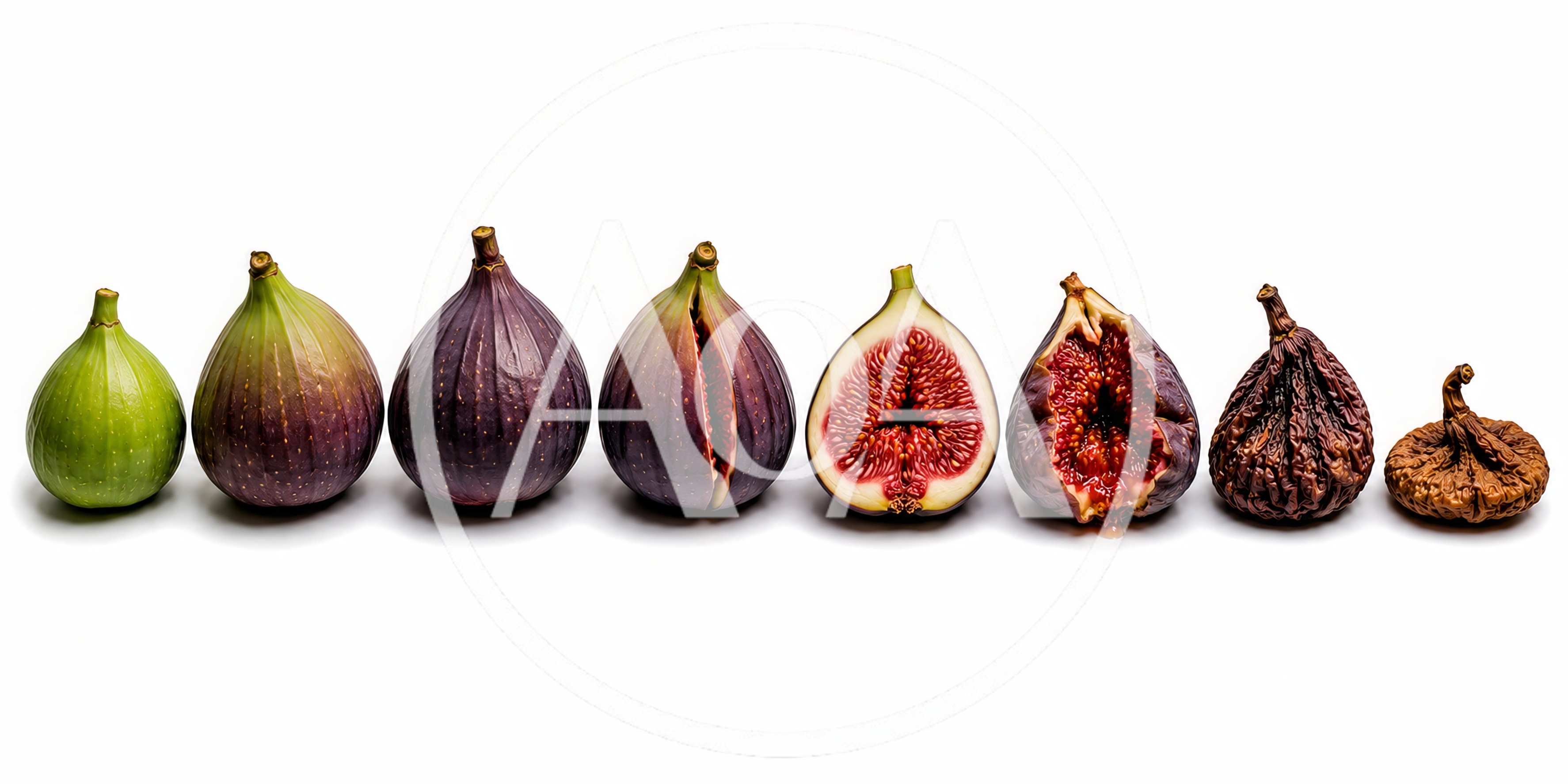 Evolution Of A Fig From Fresh To Dried