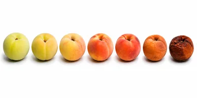 Stages Of Peach Ripening And Decay