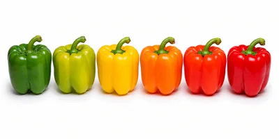 Six Colorful Bell Peppers In A Row