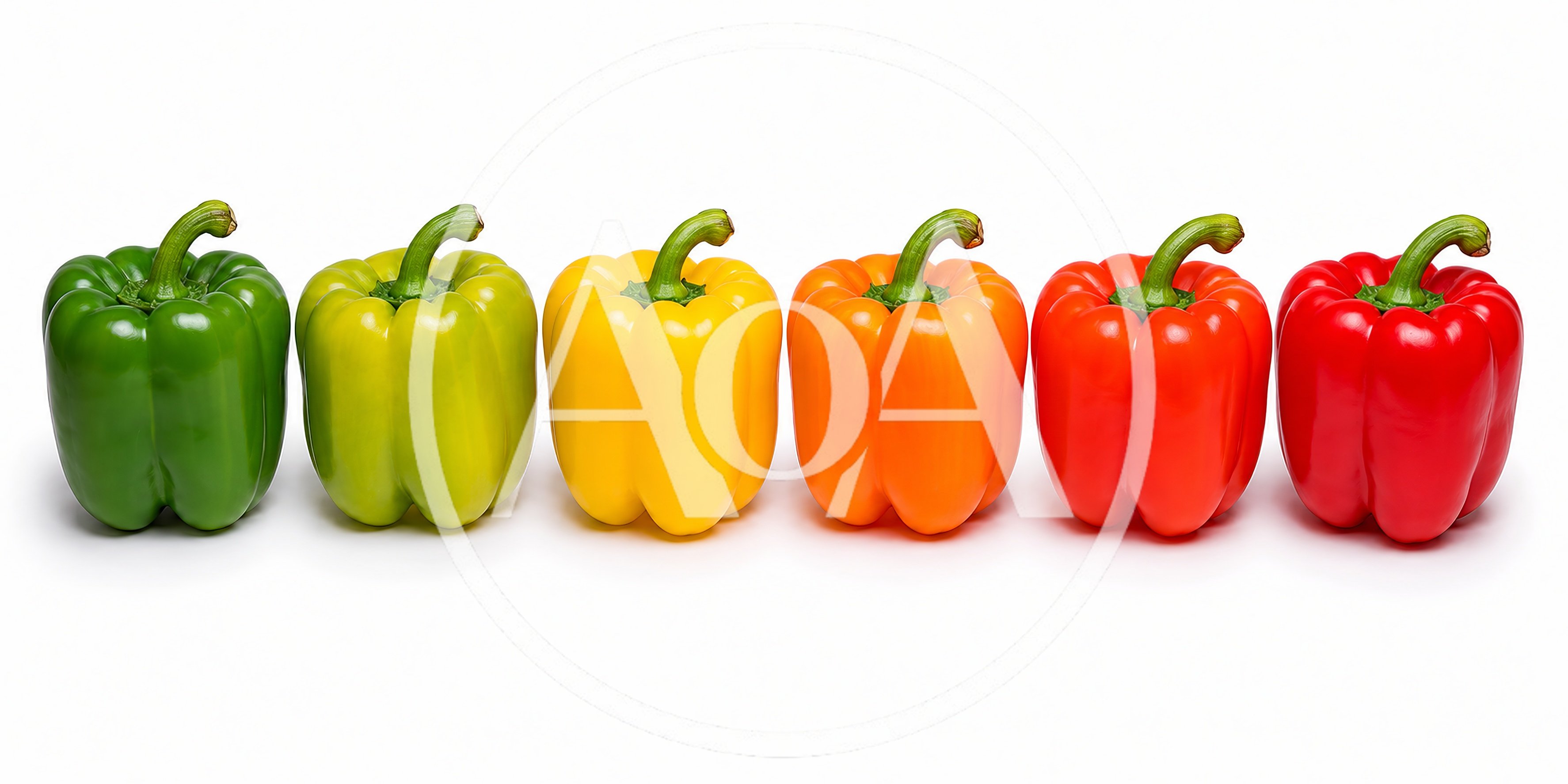 Six Colorful Bell Peppers In A Row