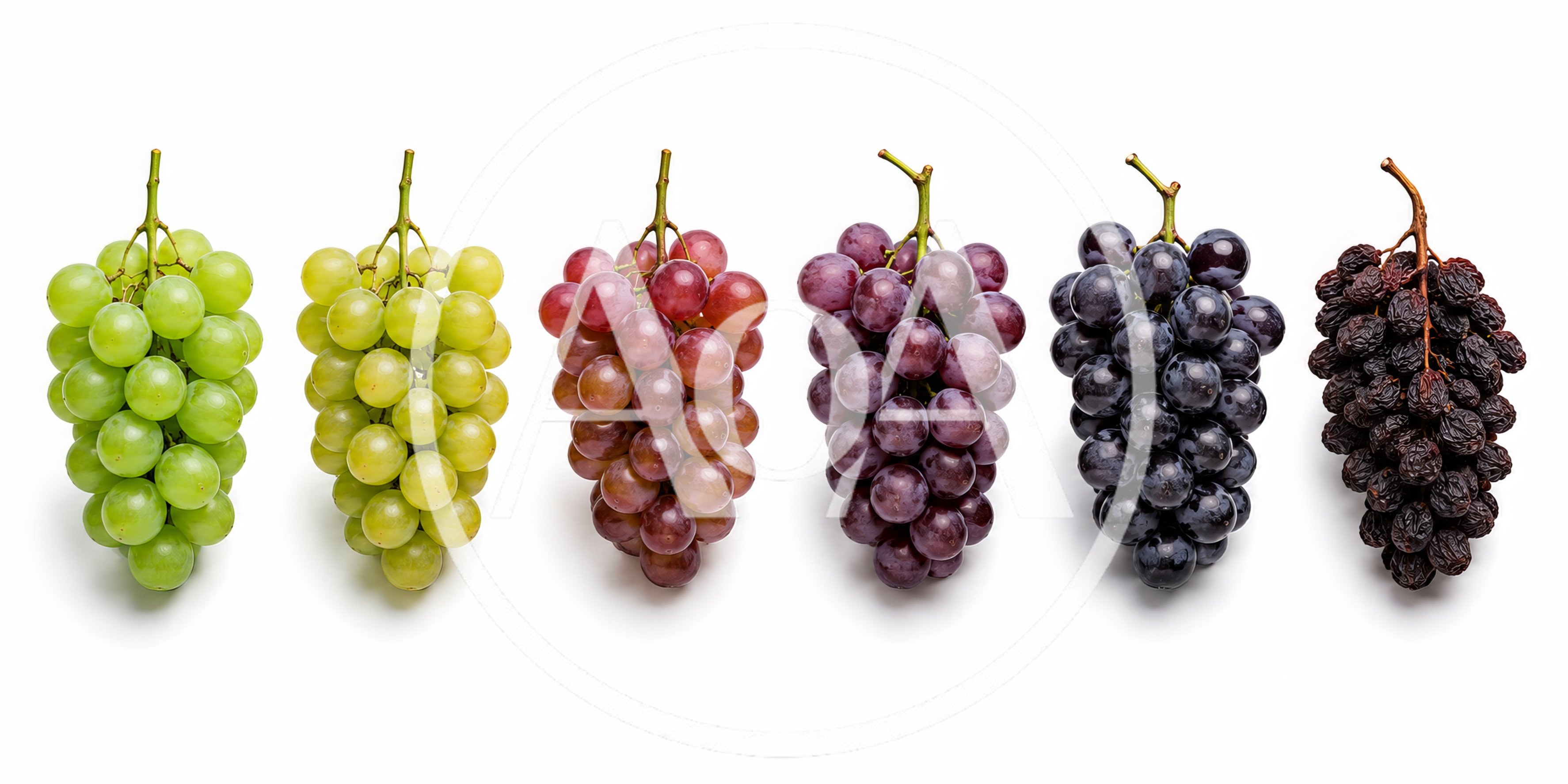 Six Bunches Of Grapes In A Color Gradient