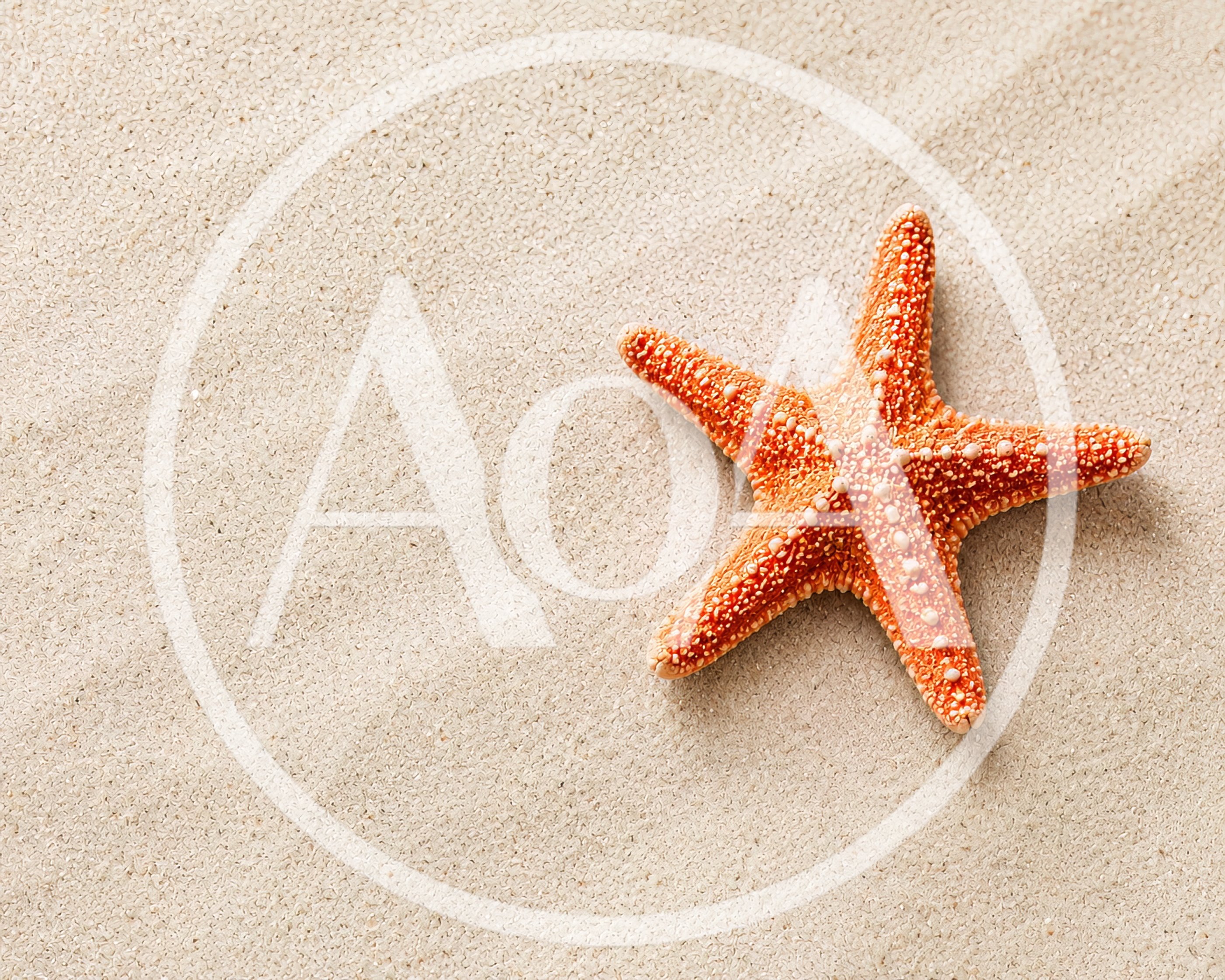 Orange Starfish Resting On Fine White Sand