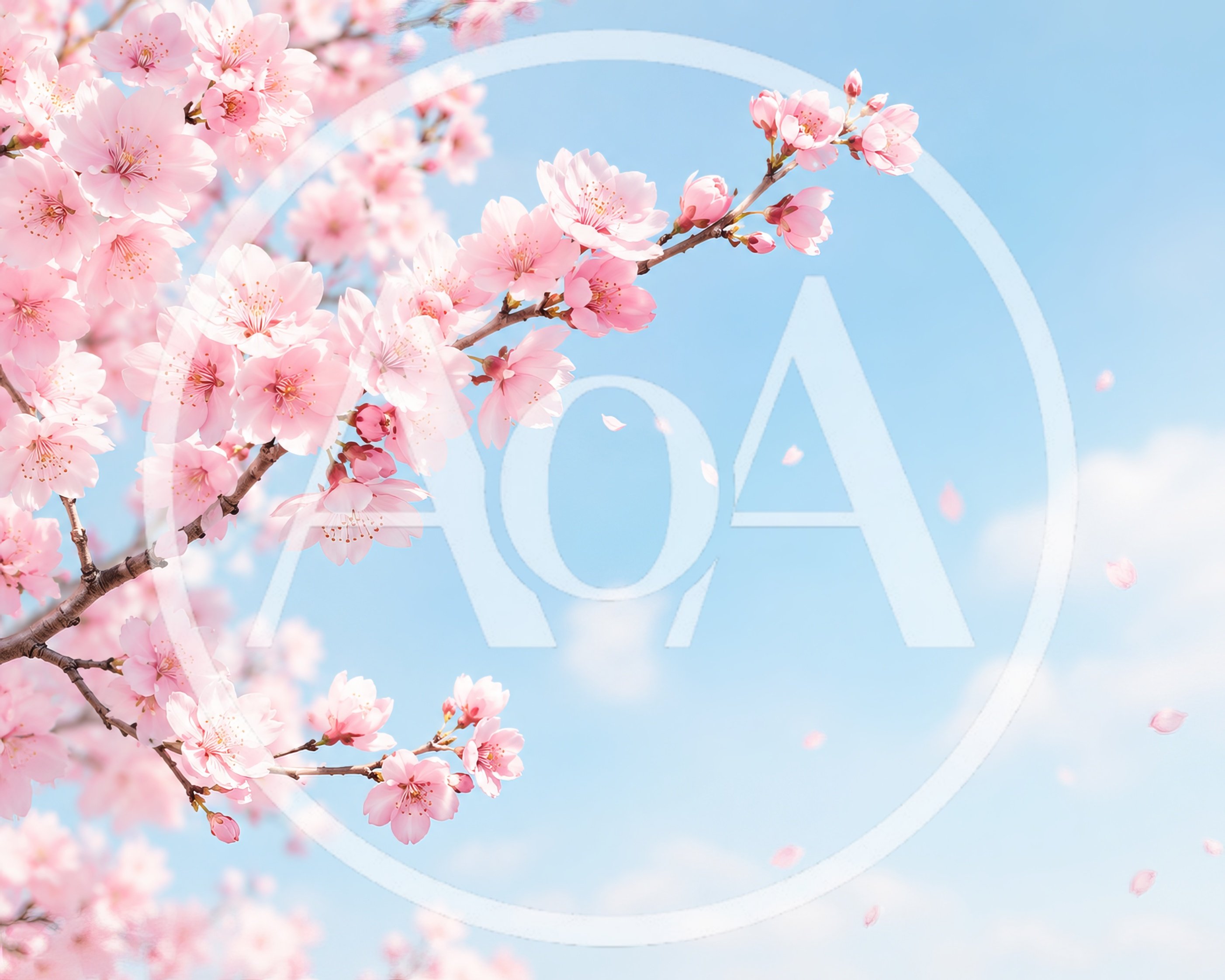 Cherry Blossom Branches Blooming Against A Clear Blue Sky