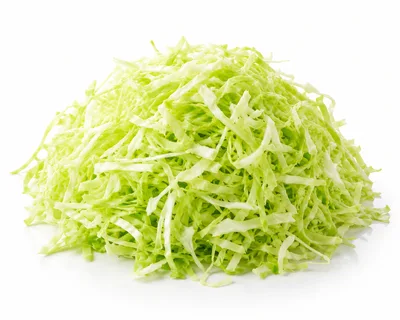 Fresh Shredded Green Cabbage Pile