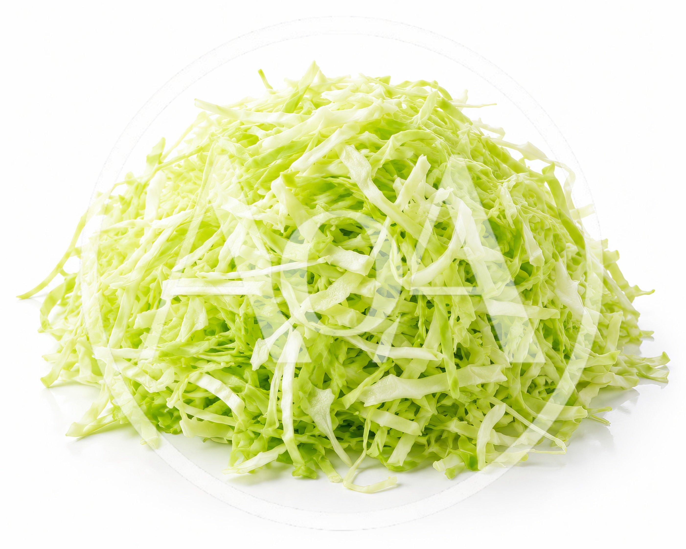Fresh Shredded Green Cabbage Pile