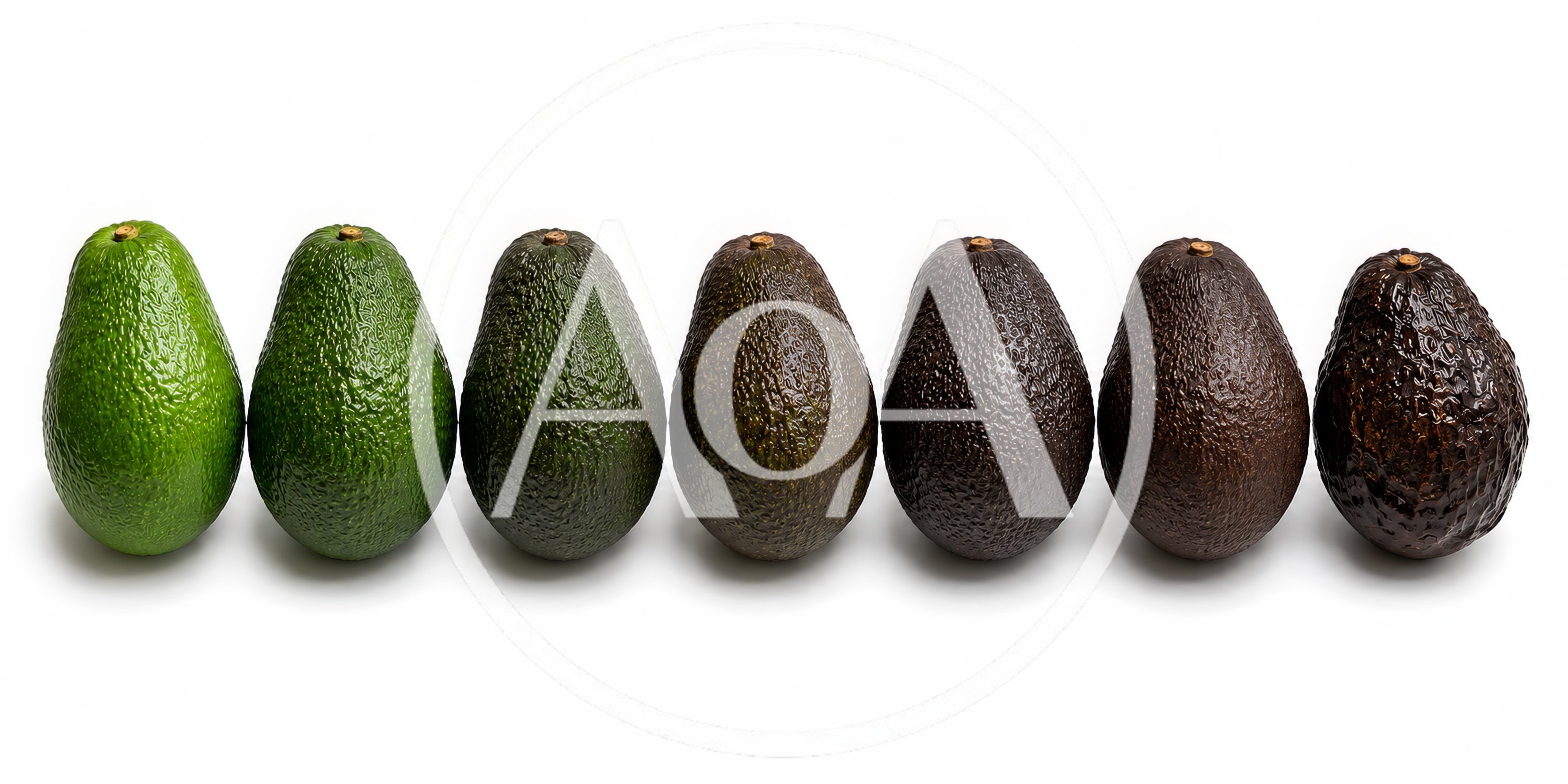 Seven Avocados Showing Ripening Stages In A Row