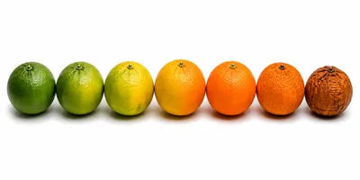 Citrus Fruit Ripening Stages From Fresh To Rotten