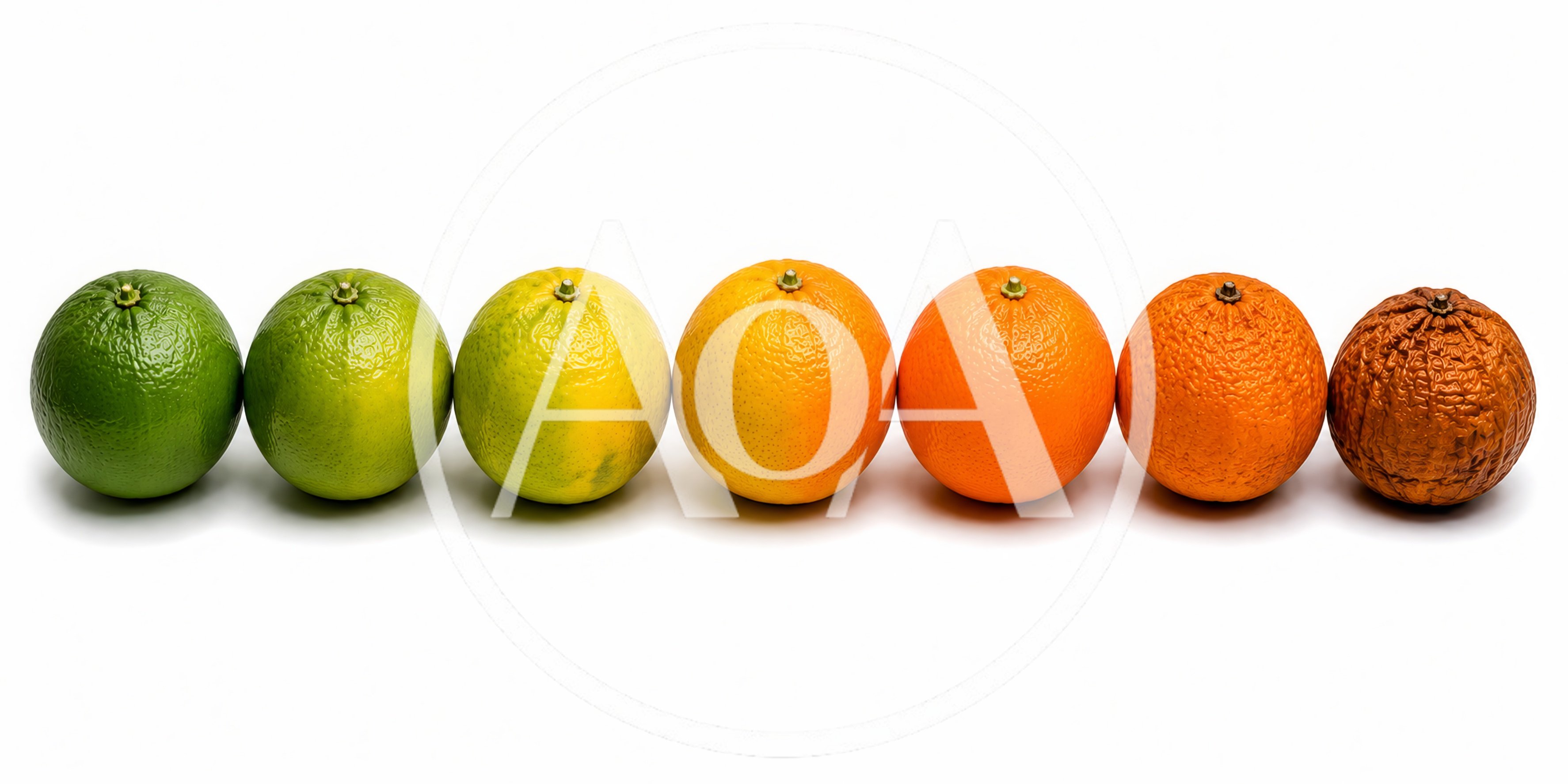 Citrus Fruit Ripening Stages From Fresh To Rotten