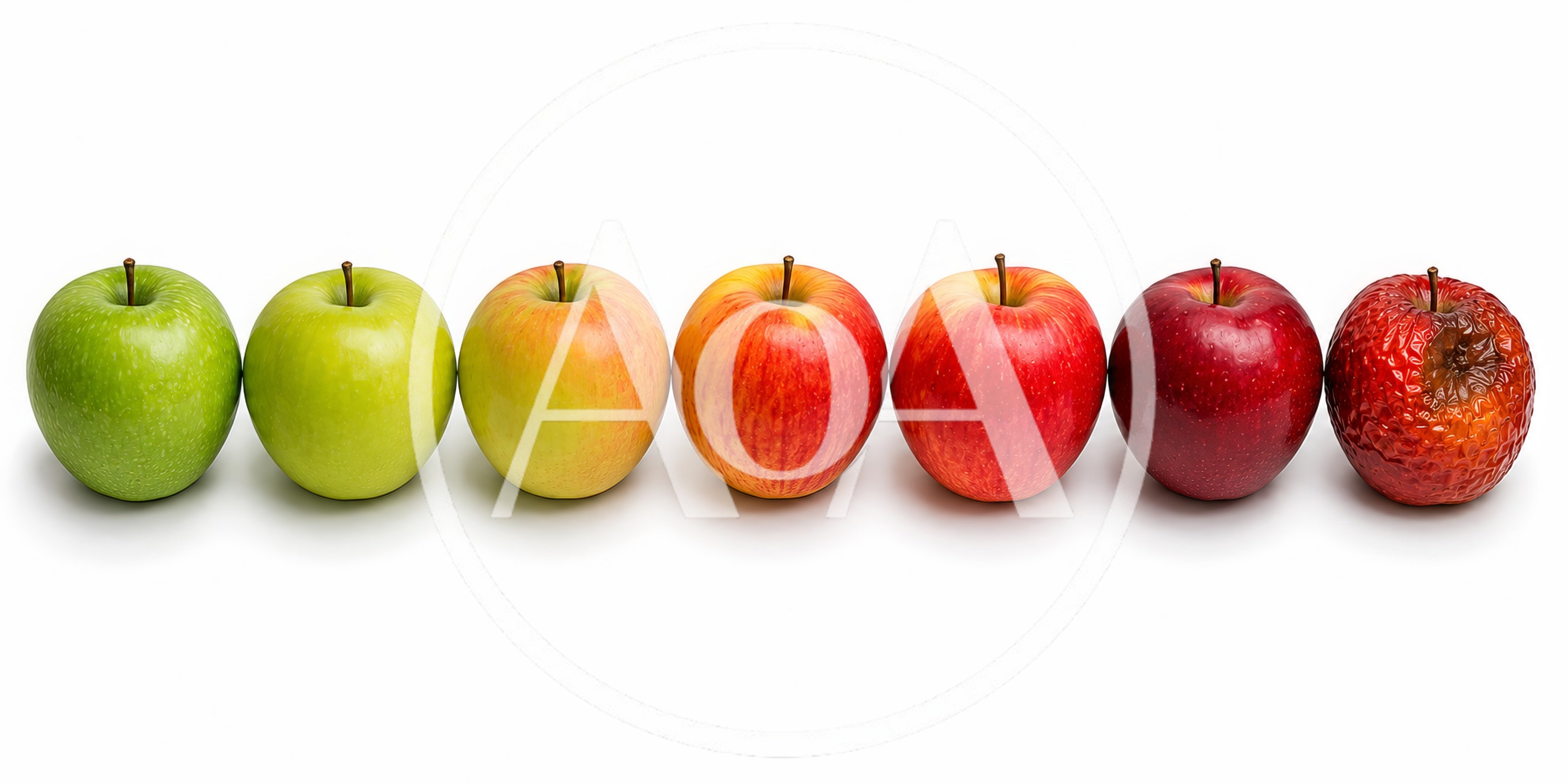 Seven Apples Showing Stages Of Ripening And Decay