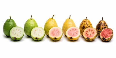 Progression of Ripening Guava Fruits in a Row