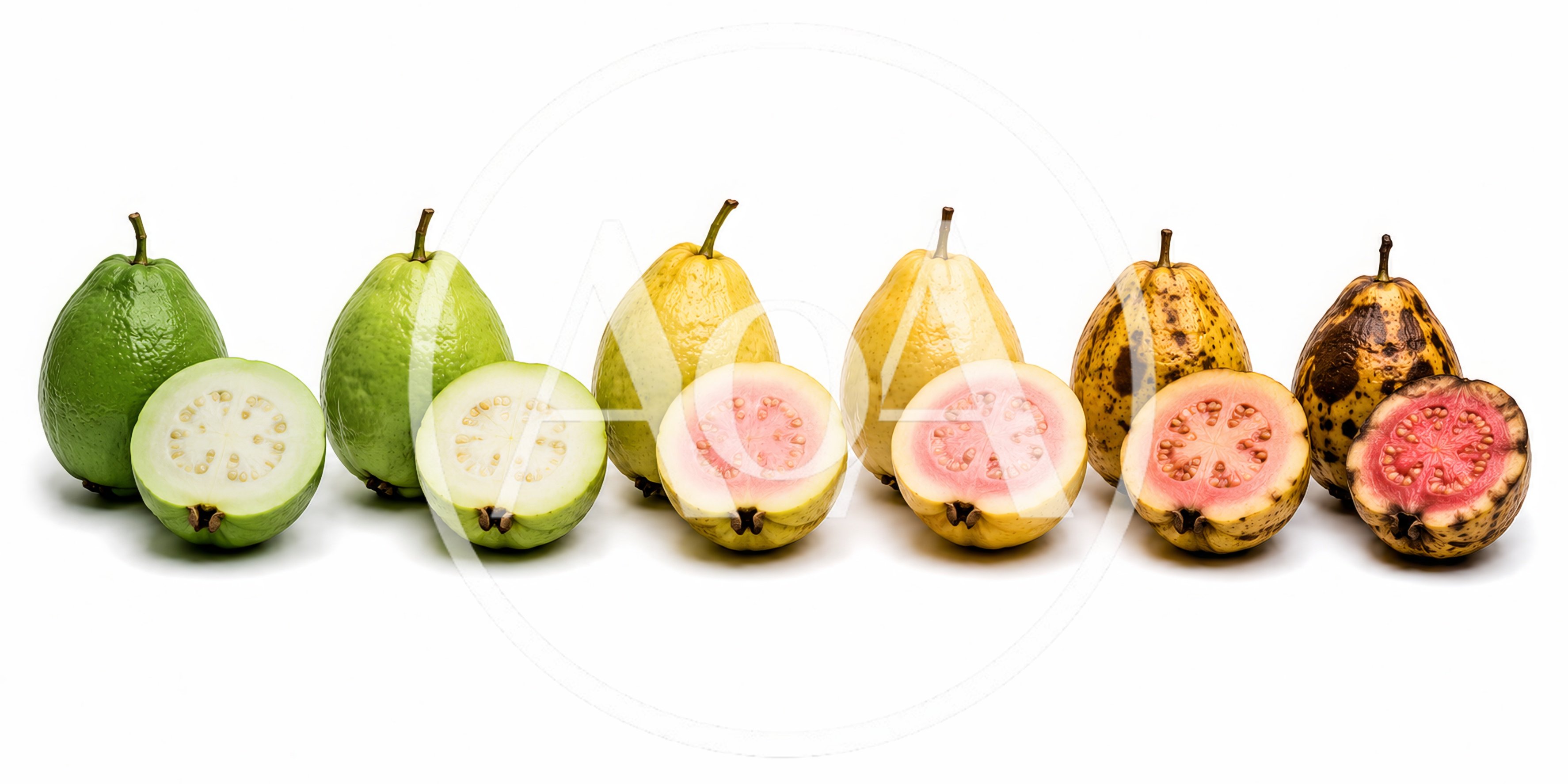 Progression of Ripening Guava Fruits in a Row