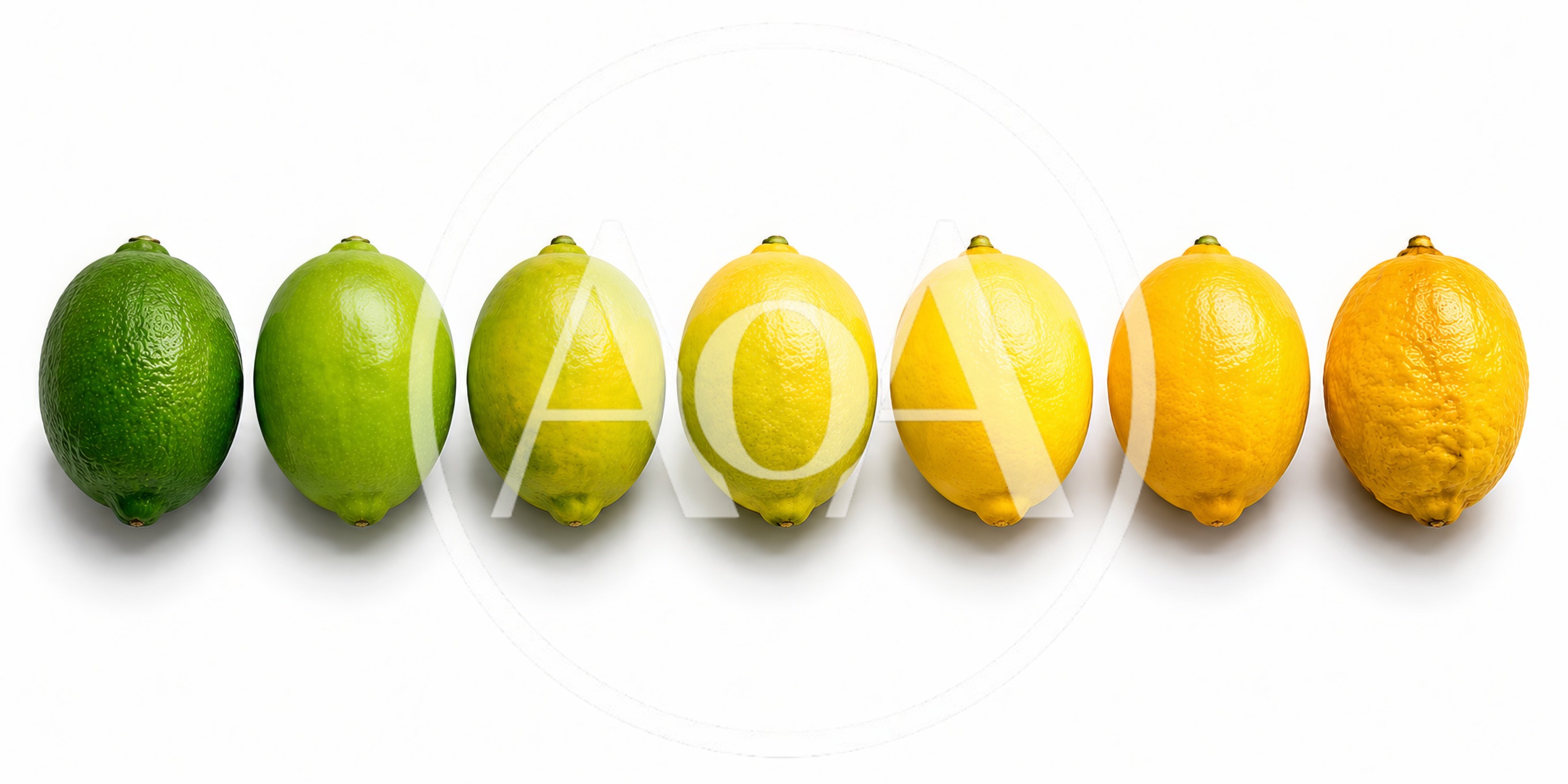 Gradient Of Citrus Fruits From Lime To Lemon