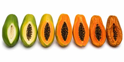 Seven Papayas Showing Stages Of Ripening Process