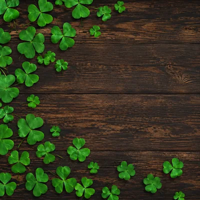 Shamrock Leaves Border on Dark Rustic Wooden Background