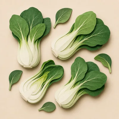 Paper Cutout Style Bok Choy Vegetables