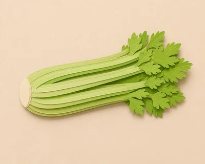 Paper Craft Celery Stalk Illustration