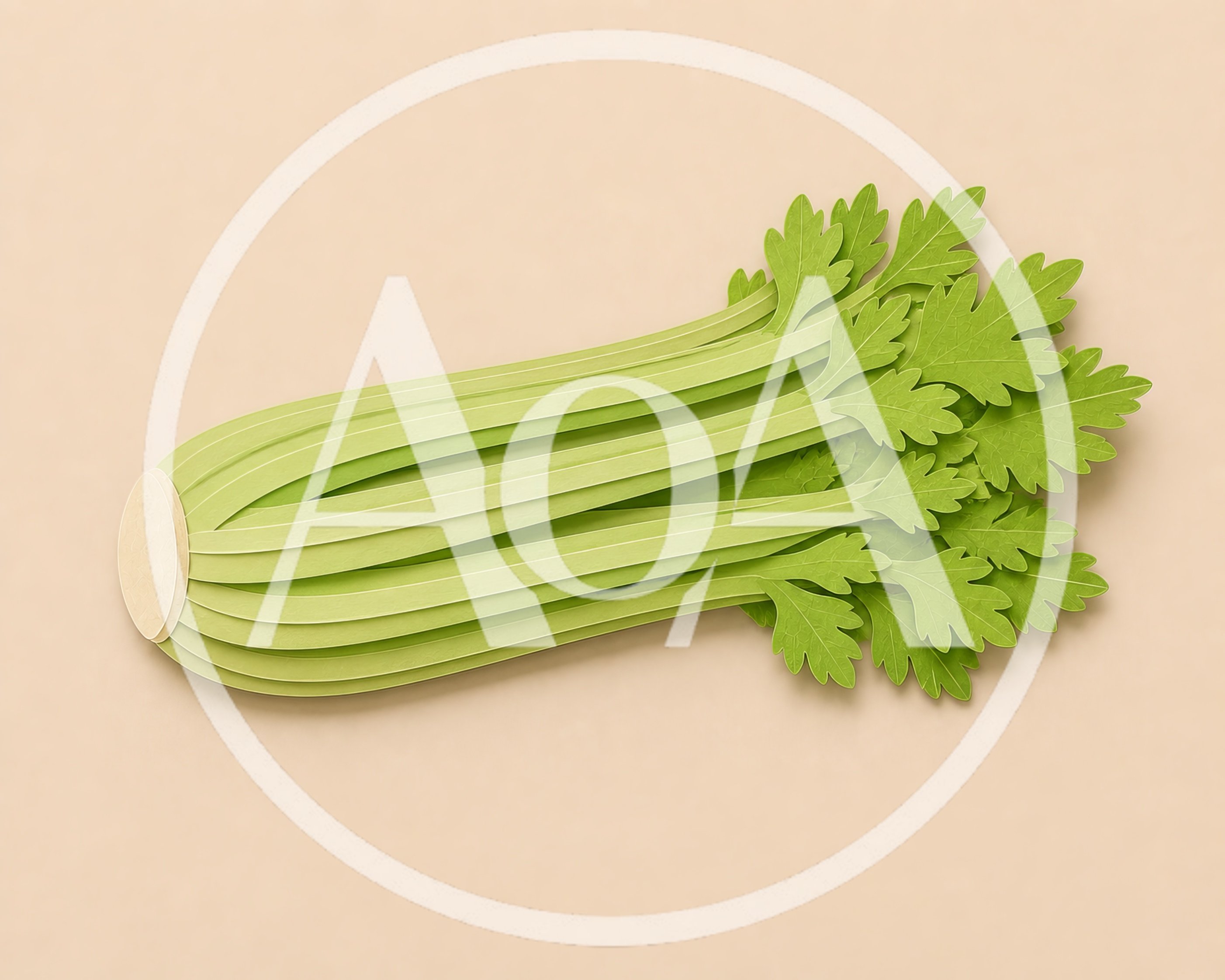 Paper Craft Celery Stalk Illustration