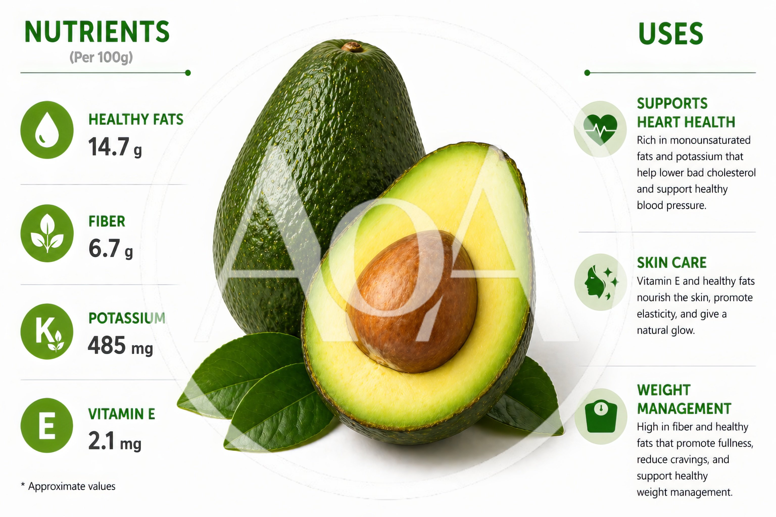 Avocado Nutritional Benefits And Health Uses Infographic