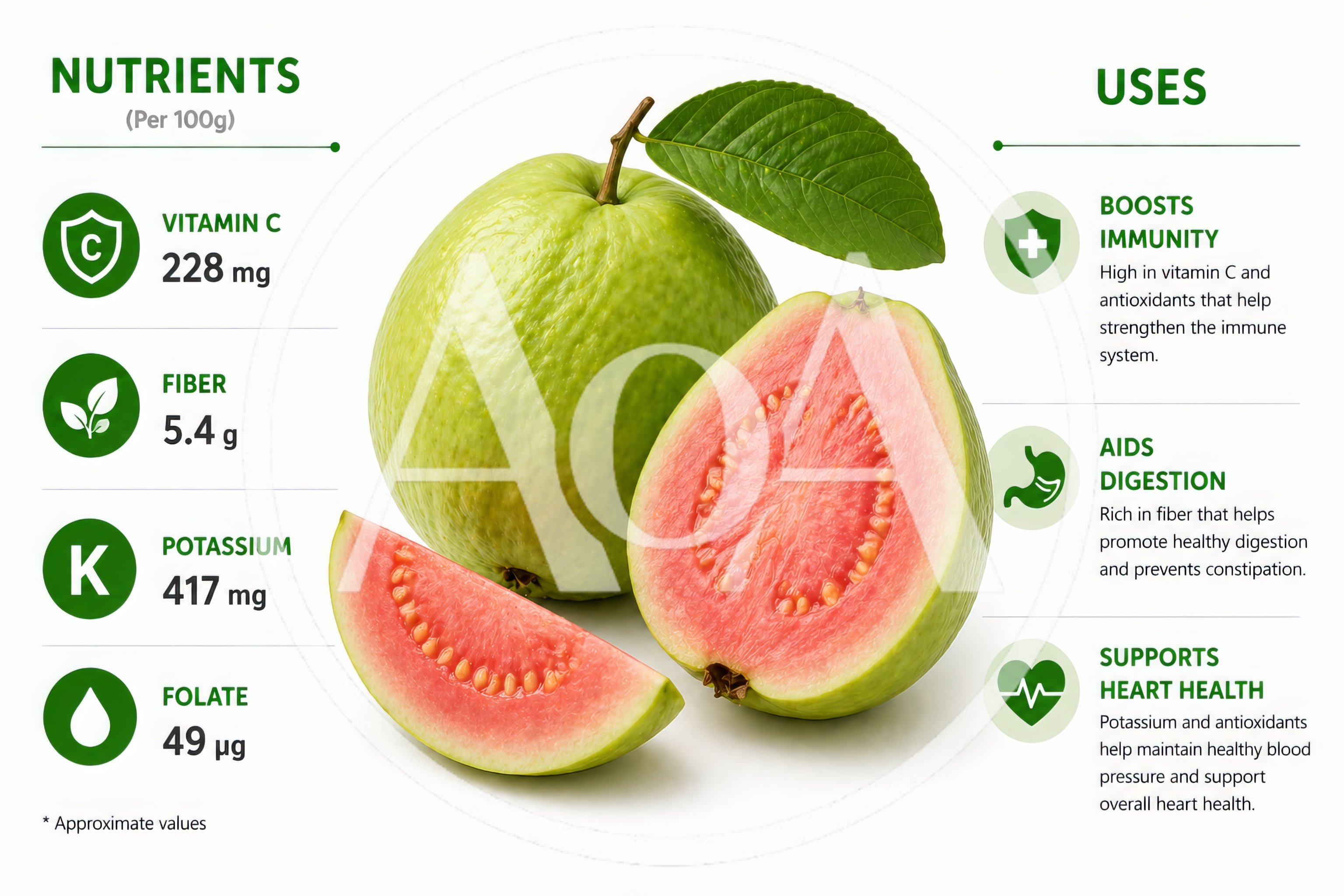 Guava Fruit Nutritional Infographic With Health Benefits