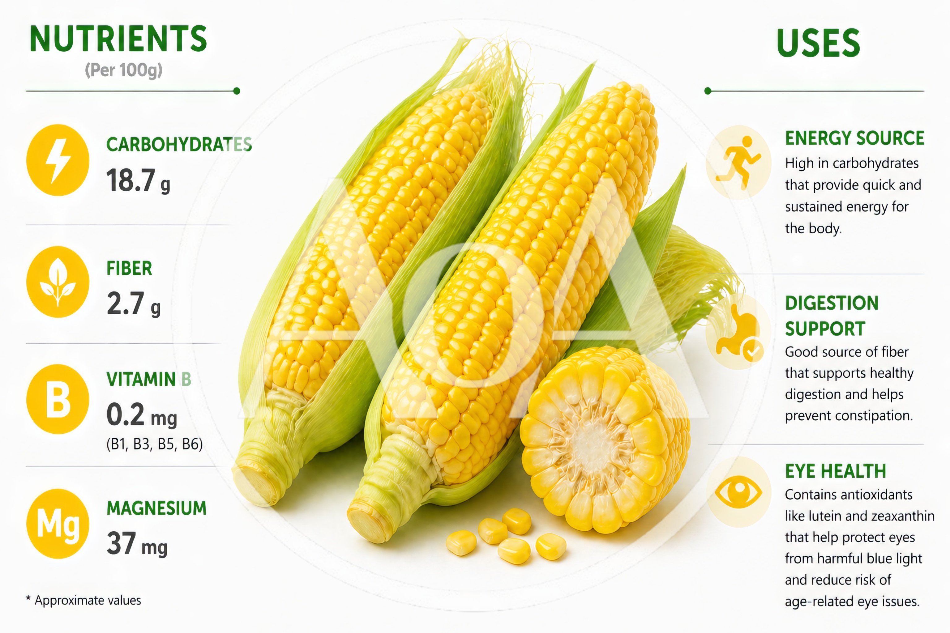 Nutritional Infographic Of Fresh Sweet Corn Cobs