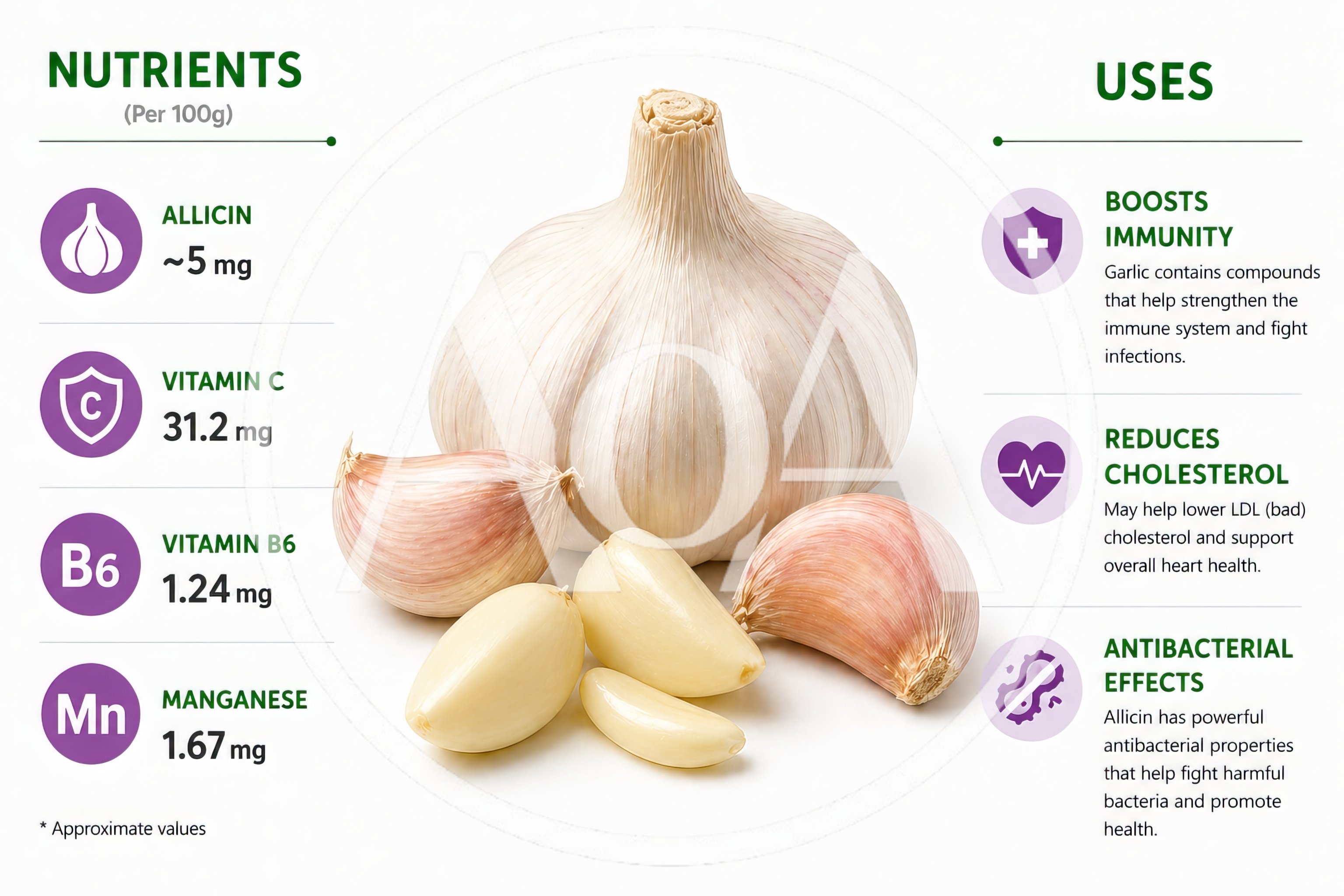 Garlic Health Benefits Infographic With Nutritional Data