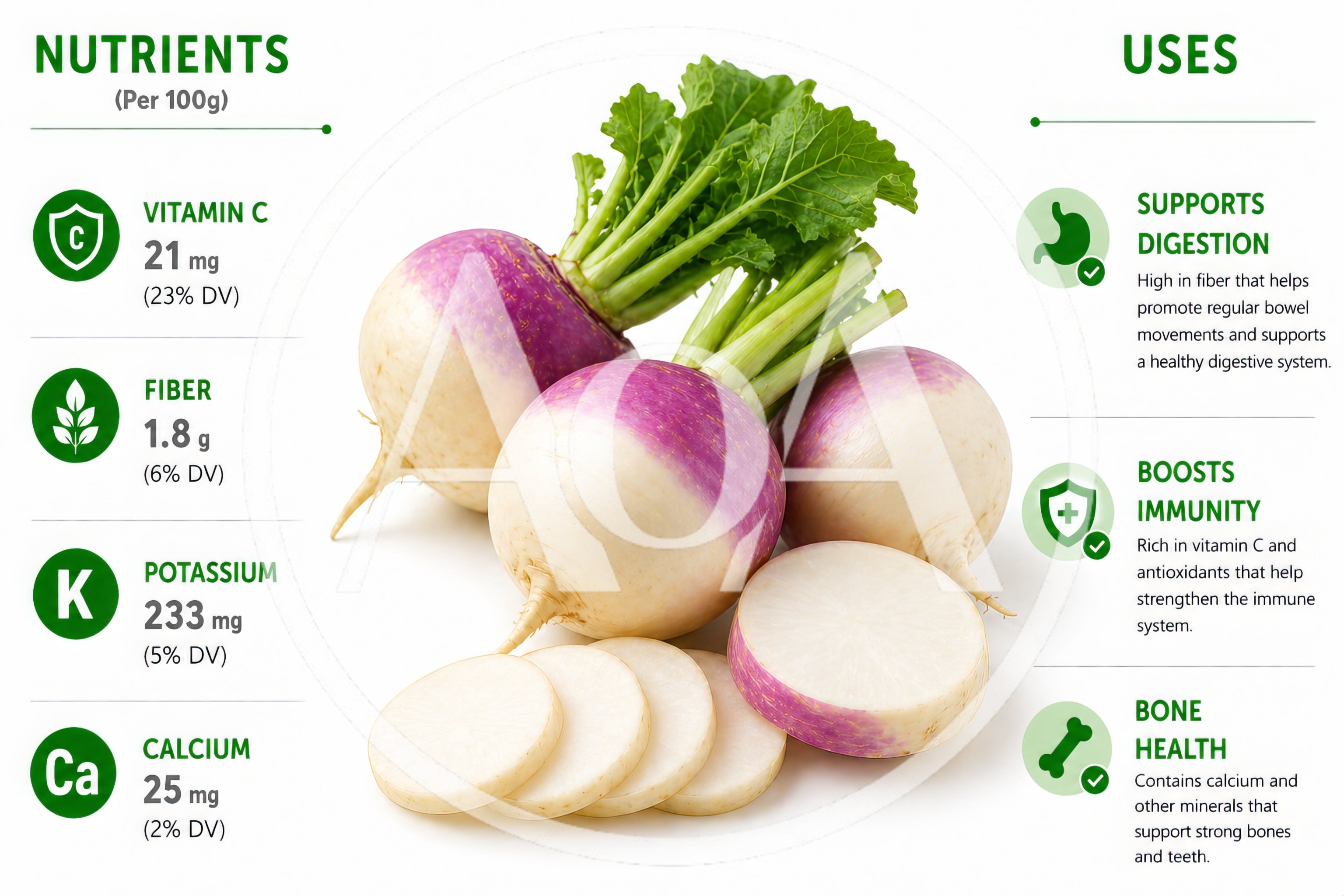Turnip Vegetable Nutritional Infographic With Health Benefits