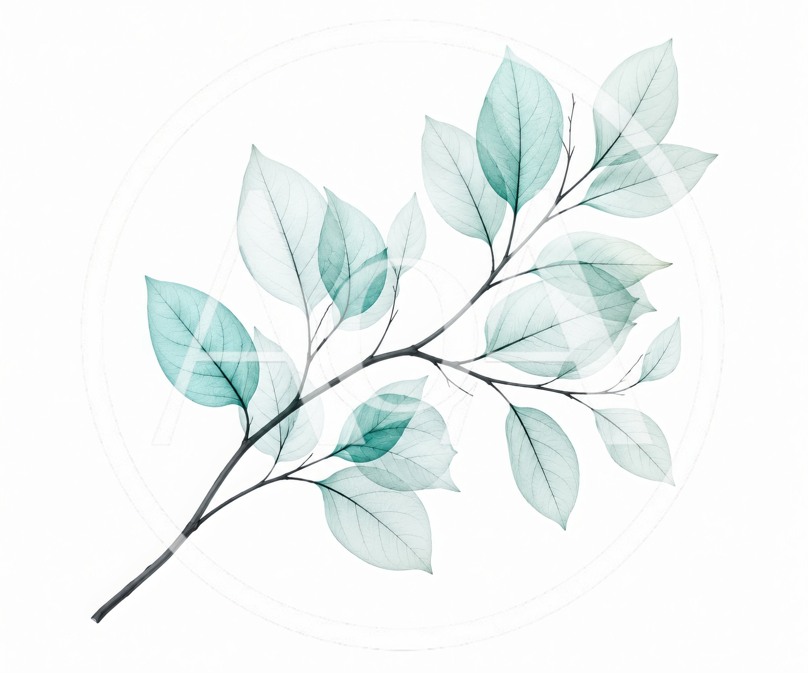 Transparent Teal Botanical Branch Illustration