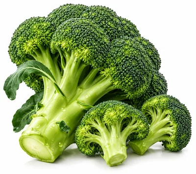 Fresh Green Broccoli Florets on White Background