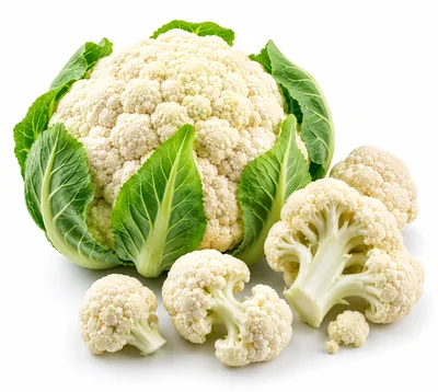 Fresh Cauliflower Head and Florets on White Background