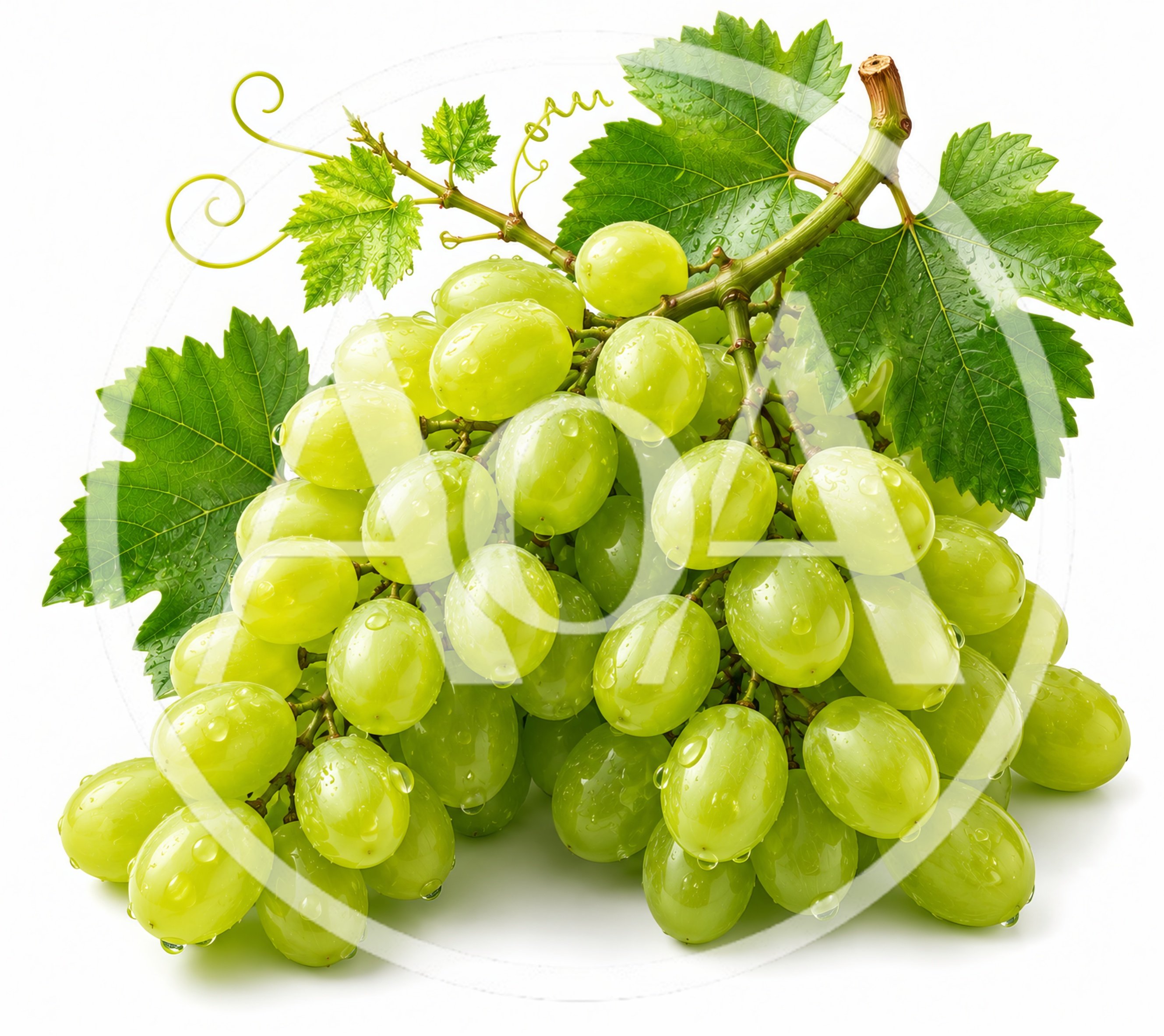 Fresh Green Grapes Cluster With Leaves