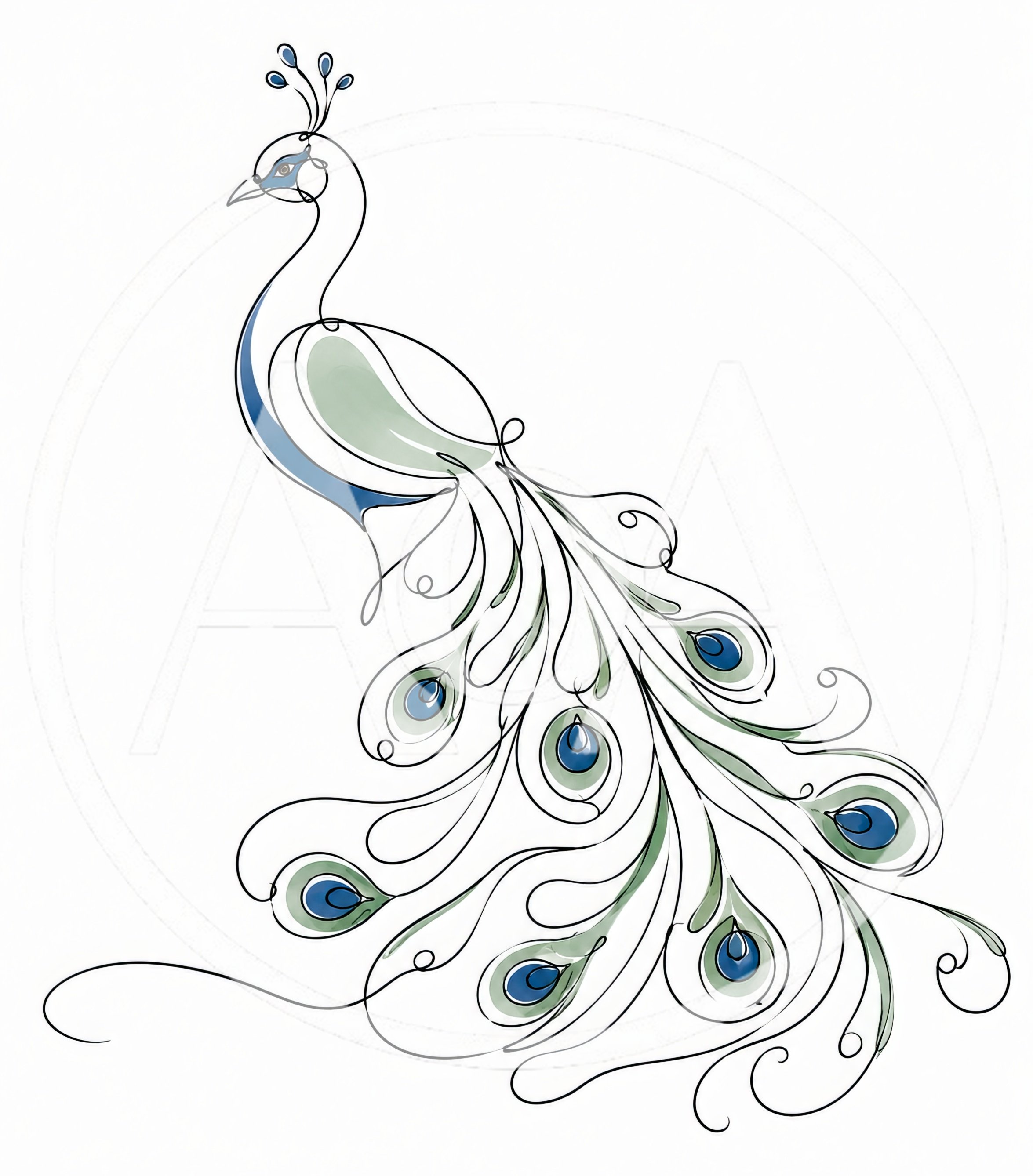 Minimalist Line Art Peacock Illustration