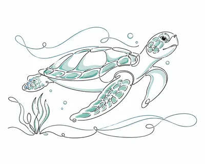 Continuous Line Drawing Of A Swimming Sea Turtle