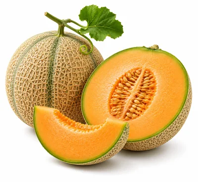 Whole And Sliced Cantaloupe Melons On White Background