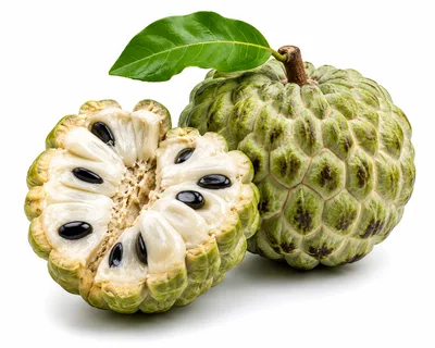 Fresh Sugar Apple Fruit With Leaf